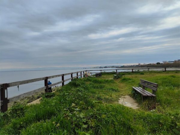 lignamo-idrovora-lignano-sabbiadoro-img2