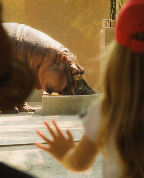 lignamo-zoo-lignano-riviera-img1