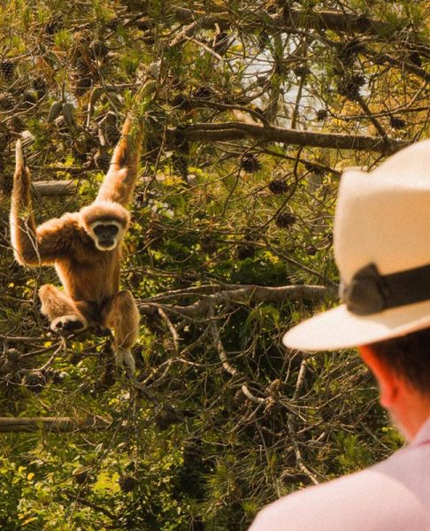 lignamo-zoo-lignano-riviera-img2
